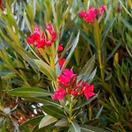 Giardini Di Varrone * Bagno Roselle