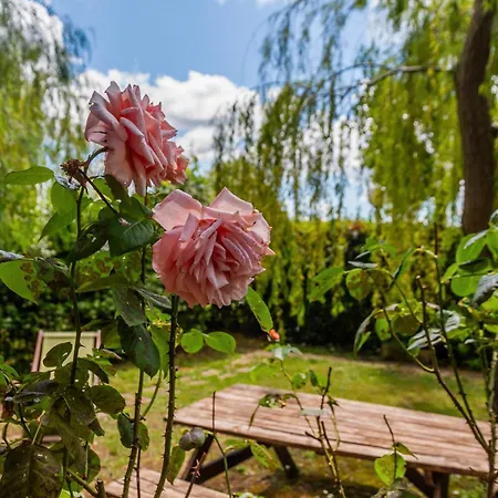 Giardini Di Varrone Farm stay Bagno Roselle