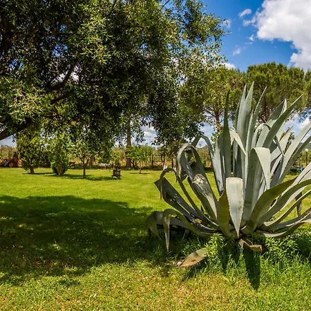 Farm stay Giardini Di Varrone *