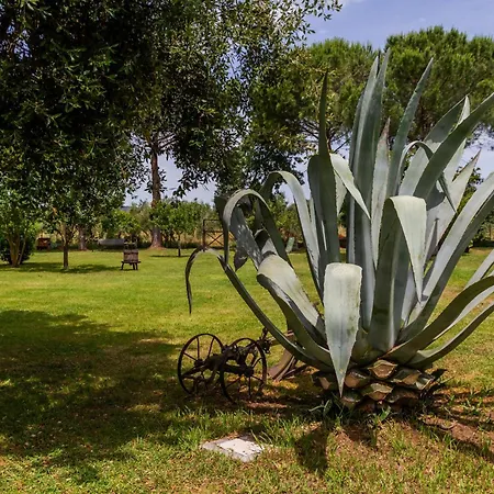 Giardini Di Varrone Feriegård Bagno Roselle