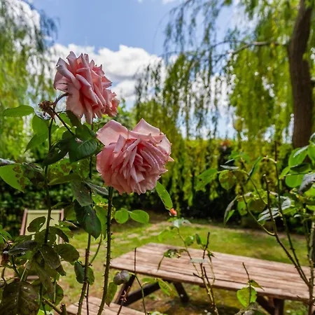 Feriegård Giardini Di Varrone *